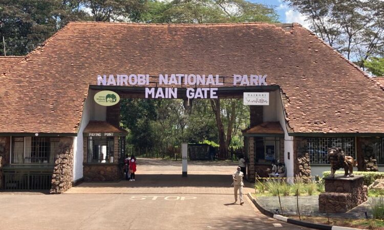 Kenya National Park Fees in 2026: Everything You Need to Know Before Your Safari