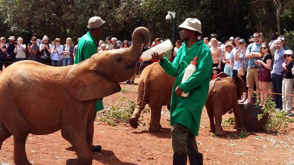 Nairobi National Park