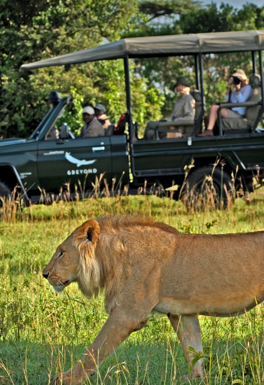 Game Drives image 4