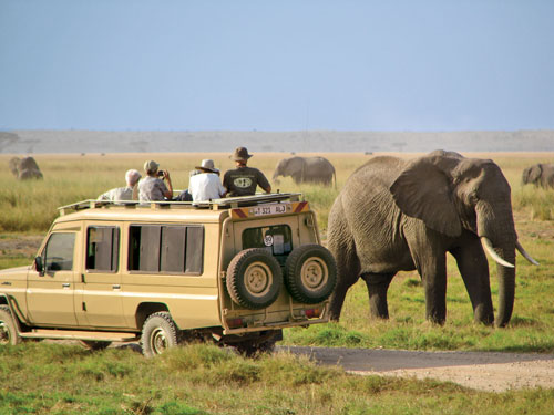 Game Drives image 2