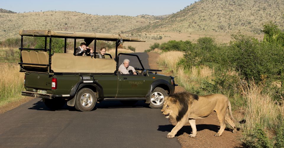 Game Drives image 3