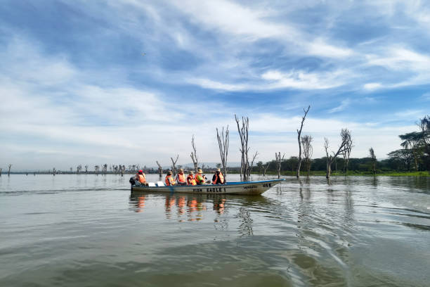 Boat Rides image 1