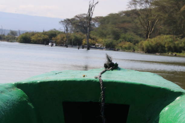 Boat Rides image 5