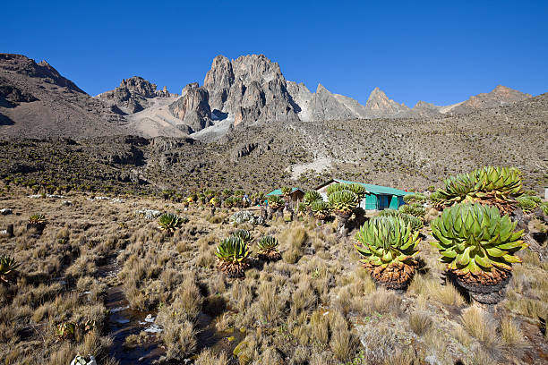 Landscapes & Scenery image 5