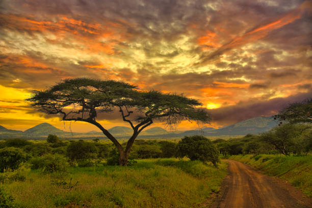 Landscapes & Scenery image 9