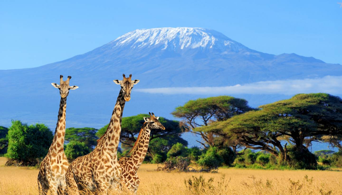 7 Days Wildlife Circuit Amboseli · Lake Naivasha · Lake Nakuru · Masai Mara
