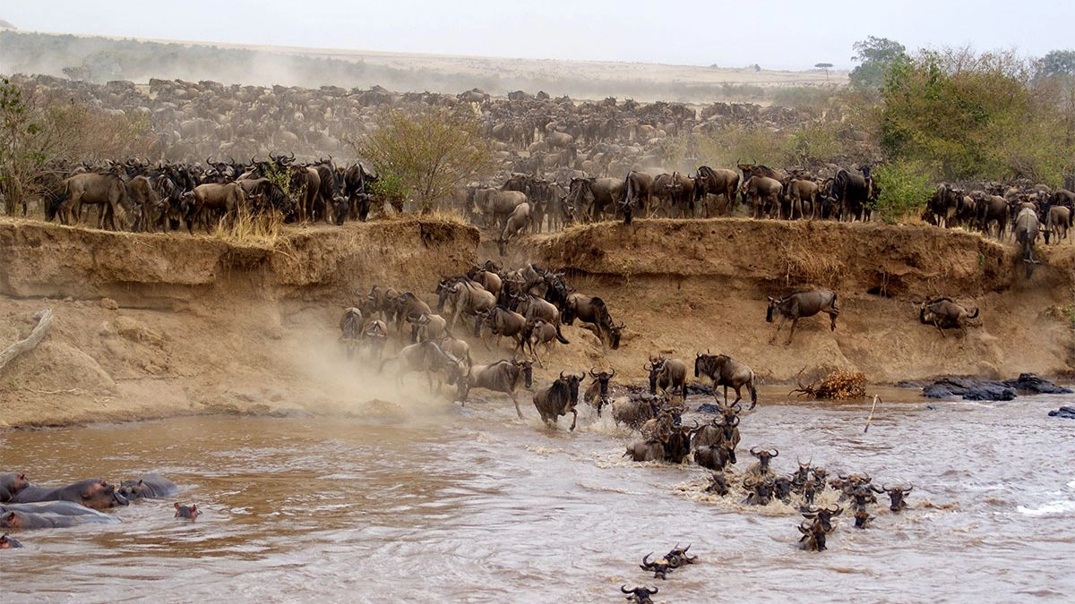 12-Day Kenya & Tanzania Midrange Safari (Private)