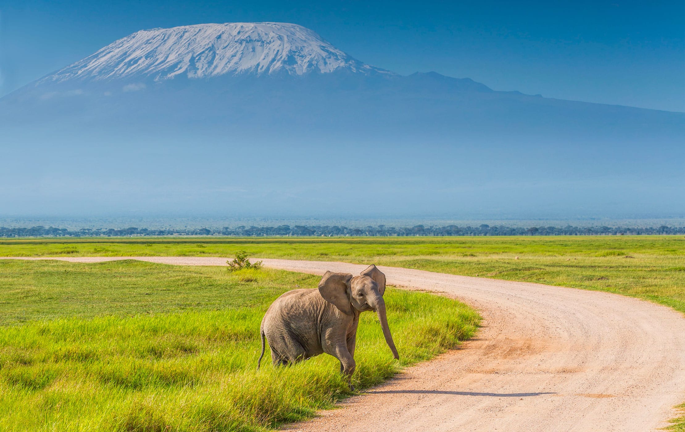 3-Day Amboseli Safari